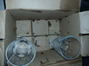 Cockroaches Fumigation