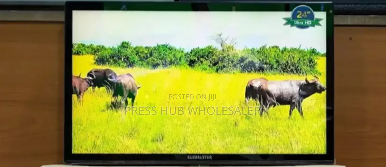 Globalstar 22-Inch Led Tv, Series 4, With DVB-T2 Digital Tuner. 