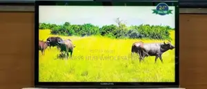 Globalstar 22-Inch Led Tv, Series 4, With DVB-T2 Digital Tuner. 
