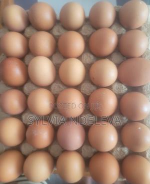 Eggs for Sale - main view