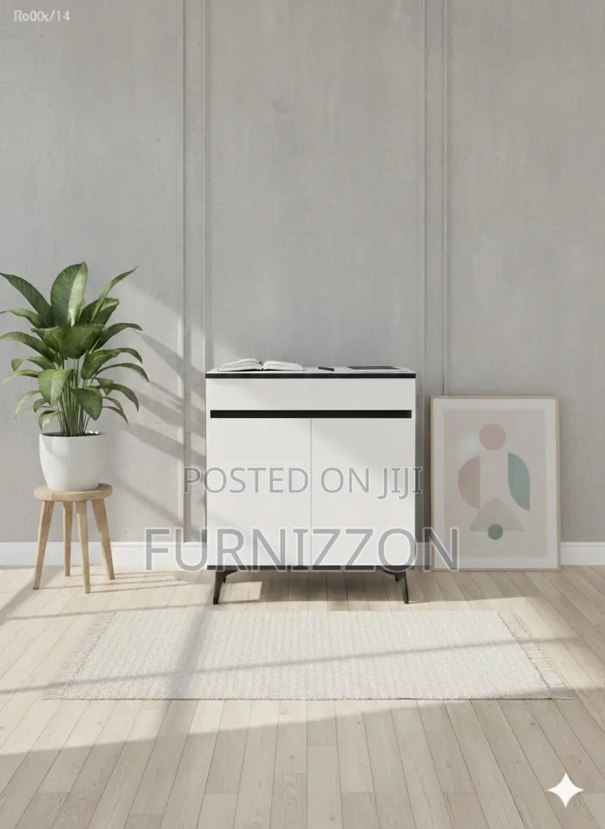 Modern Two Sided Cabinet for Office Use