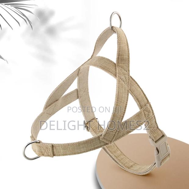 Dog Leash / Harness With Collar_dav - main view