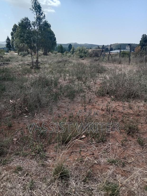 Plots for Sale 50x100 Ndiguini Kikuyu - thumbnail 3