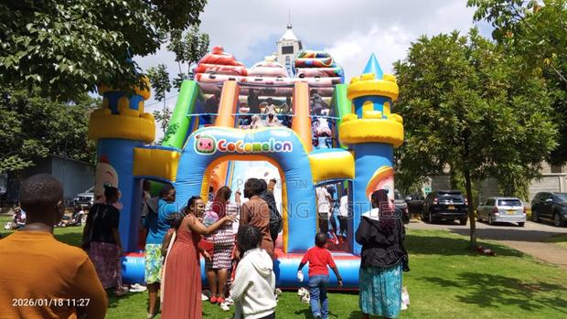 Clean Giant Dry Slides Available for Hire - main view