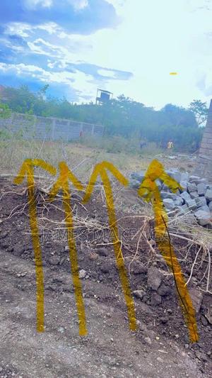 50*100 Plot on Sale, at Rongai, Kandizi, - thumbnail 2