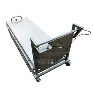Electric Body Lift -Mortury