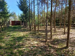 1/4 Acre Piece of Land