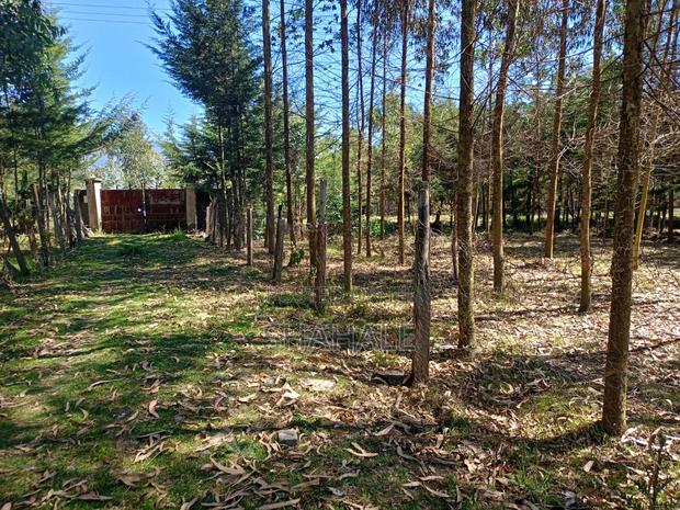 1/4 Acre Piece of Land - main view