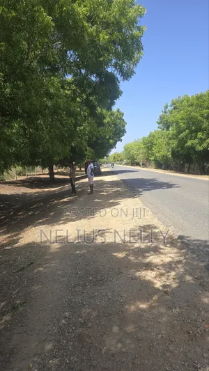 2acres Bofa Kilifi Touching Bofa Road Just 100meters to Beach