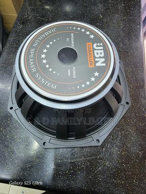 JBN 12 Inch Naked Speaker - thumbnail 2