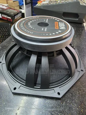 JBN 12 Inch Naked Speaker