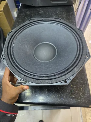 JBN 12 Inch Naked Speaker
