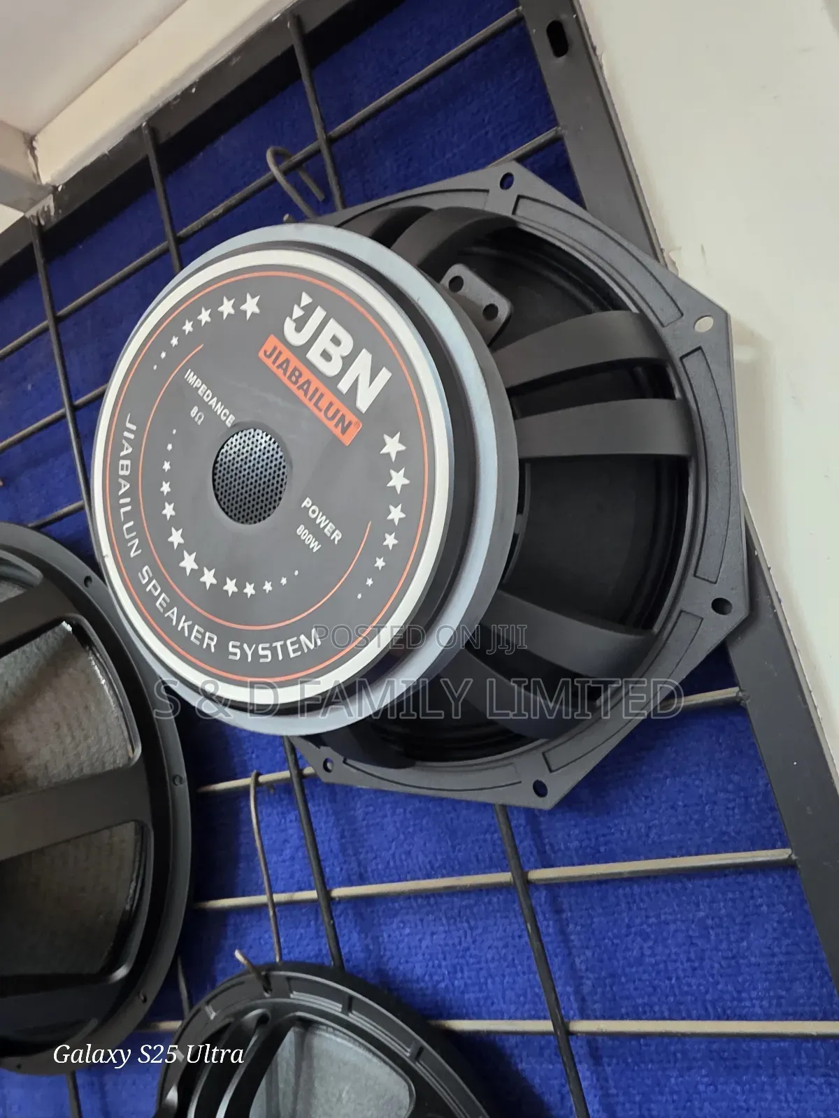 JBN 12 Inch Naked Speaker