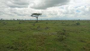 Nanyuki Plots - thumbnail 2