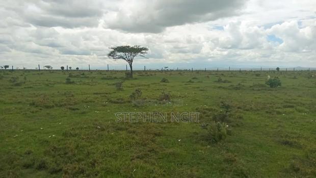 Nanyuki Plots - main view