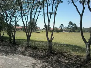 School for Sale