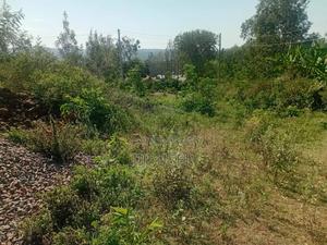 Prime Residential Plot in Homa Bay - thumbnail 2