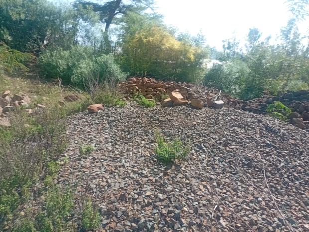 Prime Residential Plot in Homa Bay - thumbnail 5