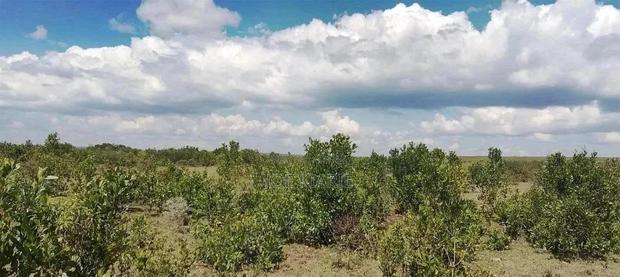 12,000 Acres For Sale - main view