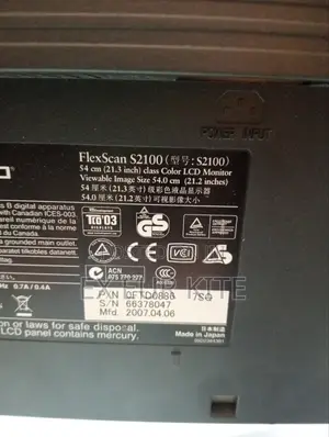 Eizo Flexscan S2100 Monitor 21.3 Inches