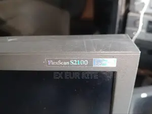Eizo Flexscan S2100 Monitor 21.3 Inches