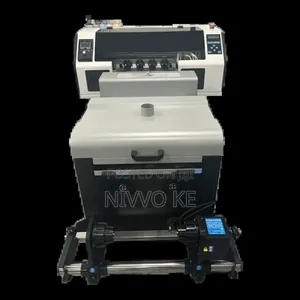 Professional 30cm DTF Printing Machine Equipped With Dual Xp600 Heads