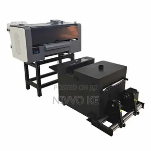 High-Efficiency 30cm DTF Printer Featuring Dual Xp600 Heads