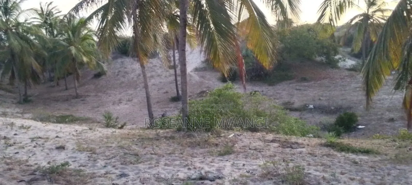 Beach Plot in Malindi