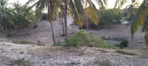 Beach Plot in Malindi