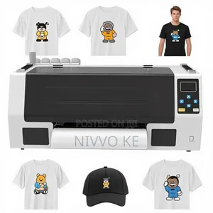Small-Format 30cm DTF Printer With Dual Xp600 Printheads