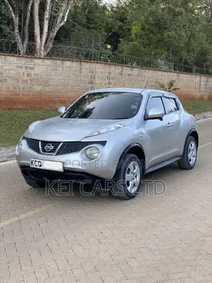 Nissan Juke 2011 Silver