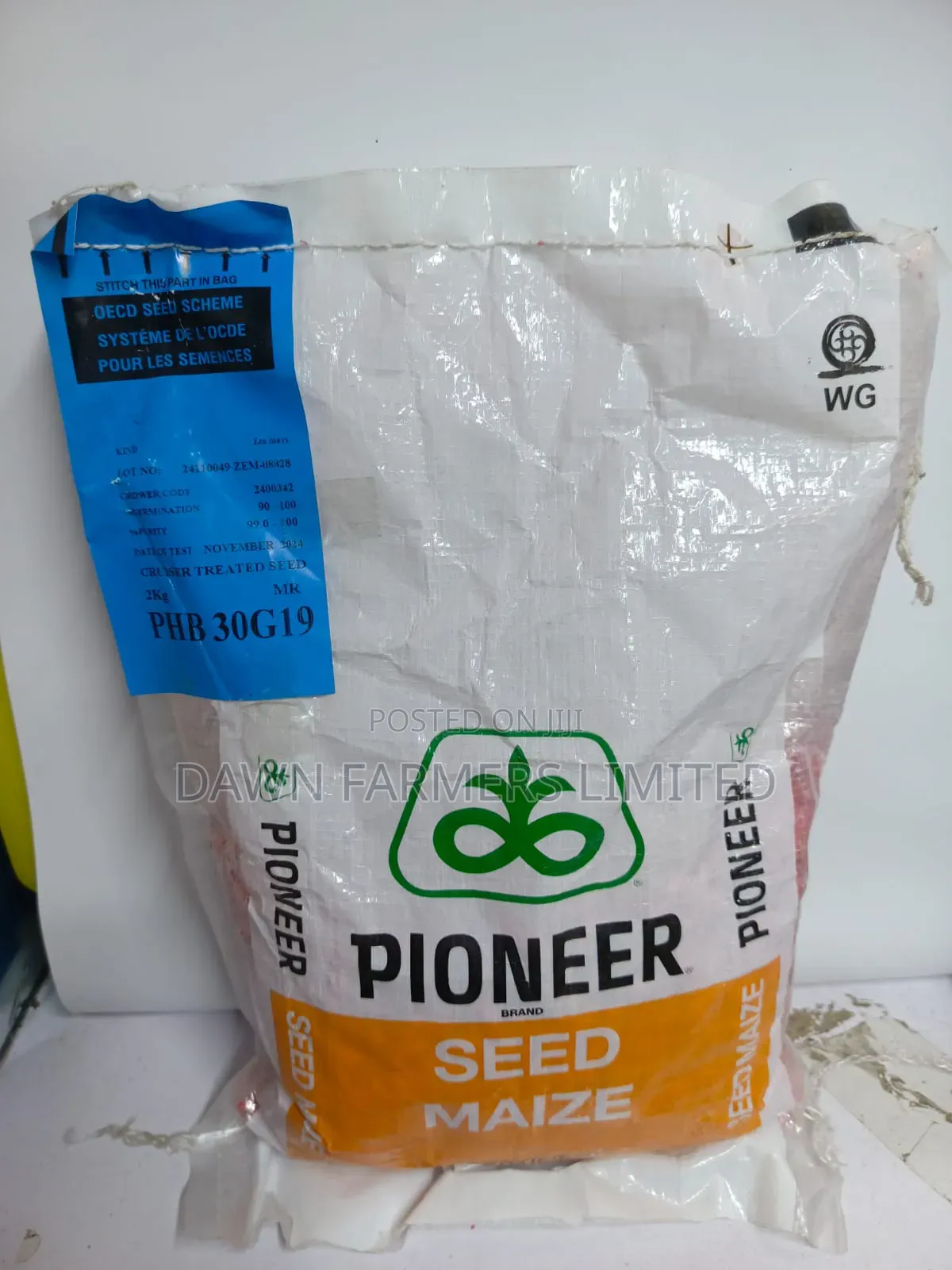 Pioneer 30g19 2kg
