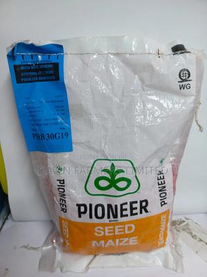 Pioneer 30g19 2kg - main view