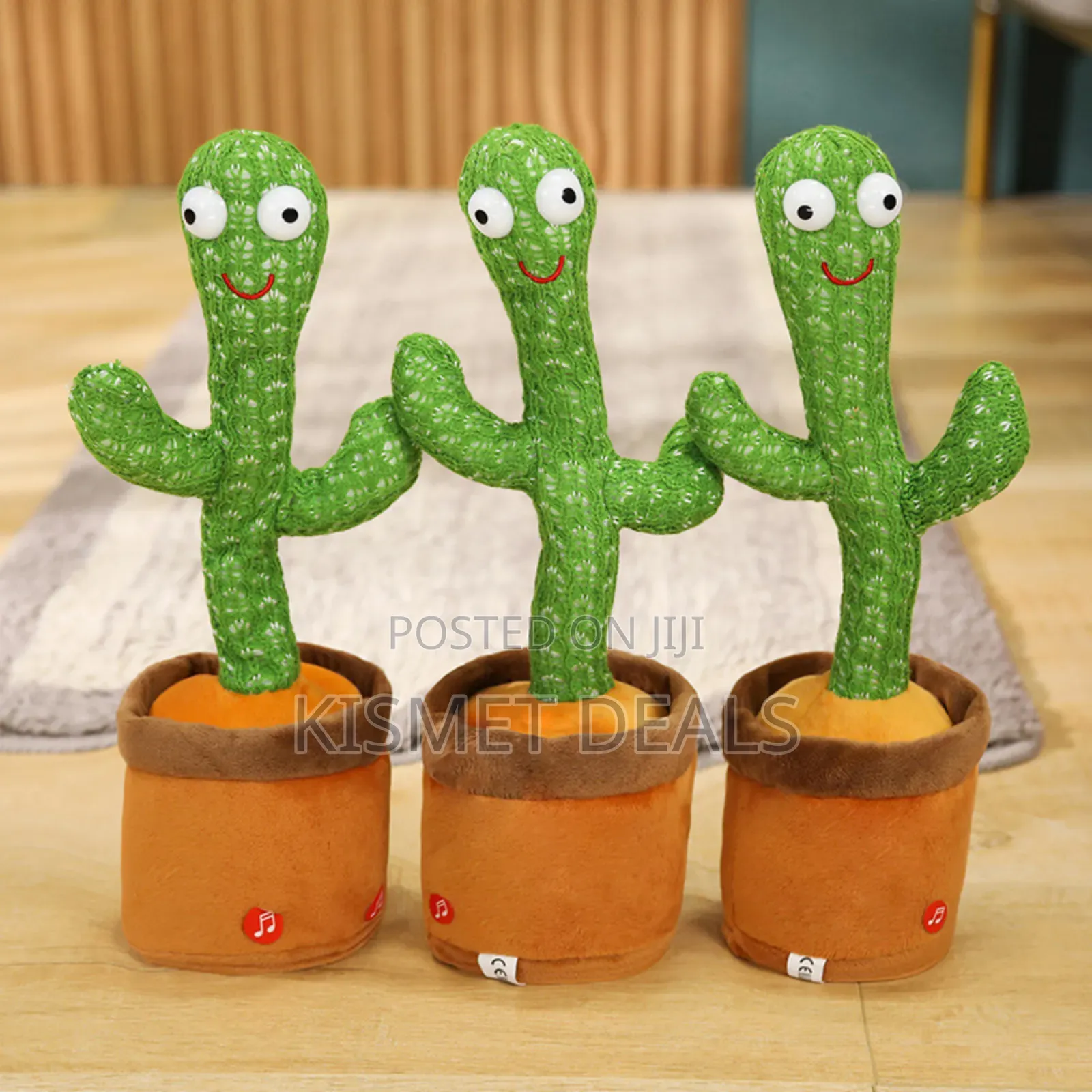*Dancing Cactus