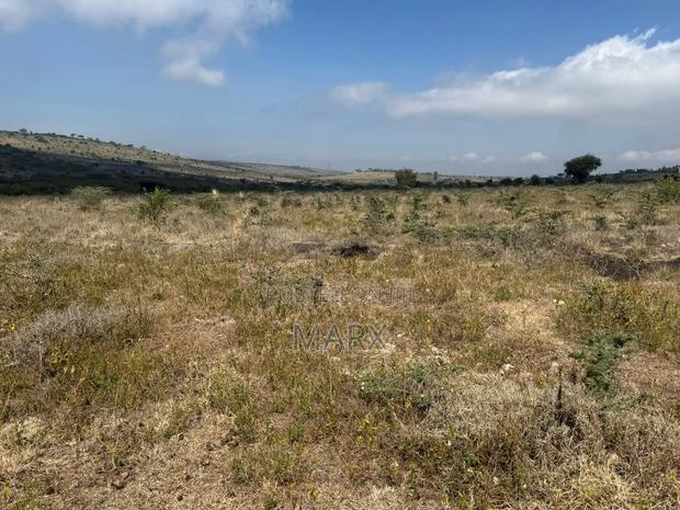 Land for Sale - thumbnail 7