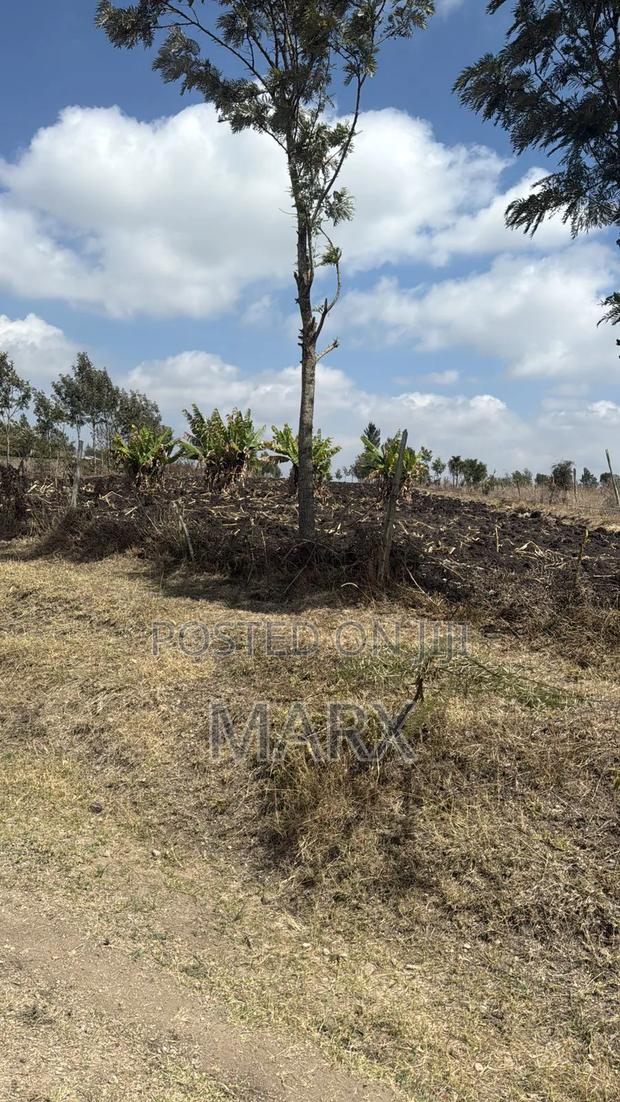 Land for Sale - thumbnail 9