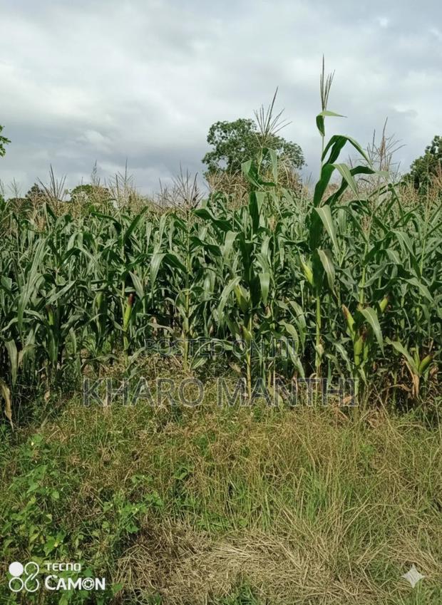 Prime Land for Sale