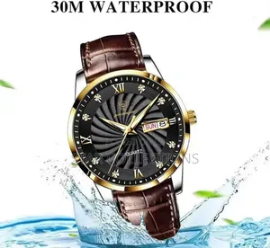 Brown Poedagar Leather Water Resistant Watch for Men