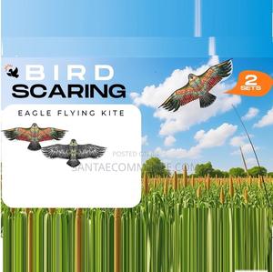 2 PCS Eagle Hawk Crop Farming Bird Scare Deterrent Pest Control Kite - main view