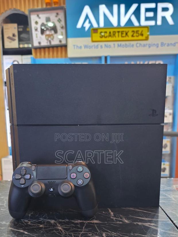 Ps4 Standard 500gb Chipped