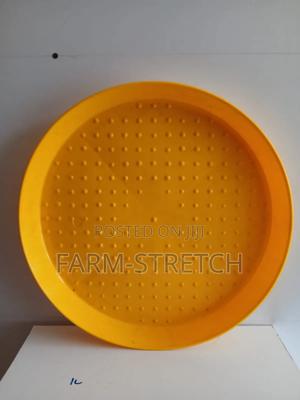 Round Chicks Feeding Trays - thumbnail 2