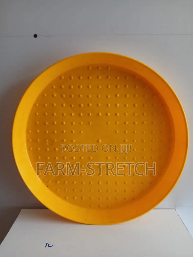 Round Chicks Feeding Trays - main view