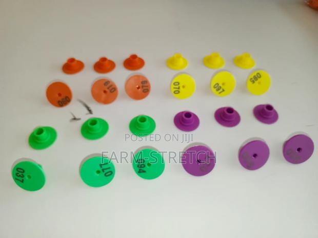 Round Animal Eartags - main view