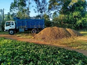 Pure Goat Manure - main view