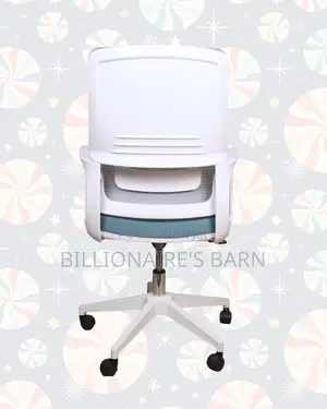 Ergonomic Work Chair for Home and Office —Stable-Lower-Back Support