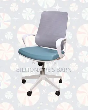 Ergonomic Work Chair for Home and Office —Stable-Lower-Back Support