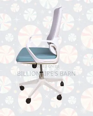 Ergonomic Work Chair for Home and Office —Stable-Lower-Back Support