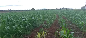 Nyamathi Prime Land for Sale