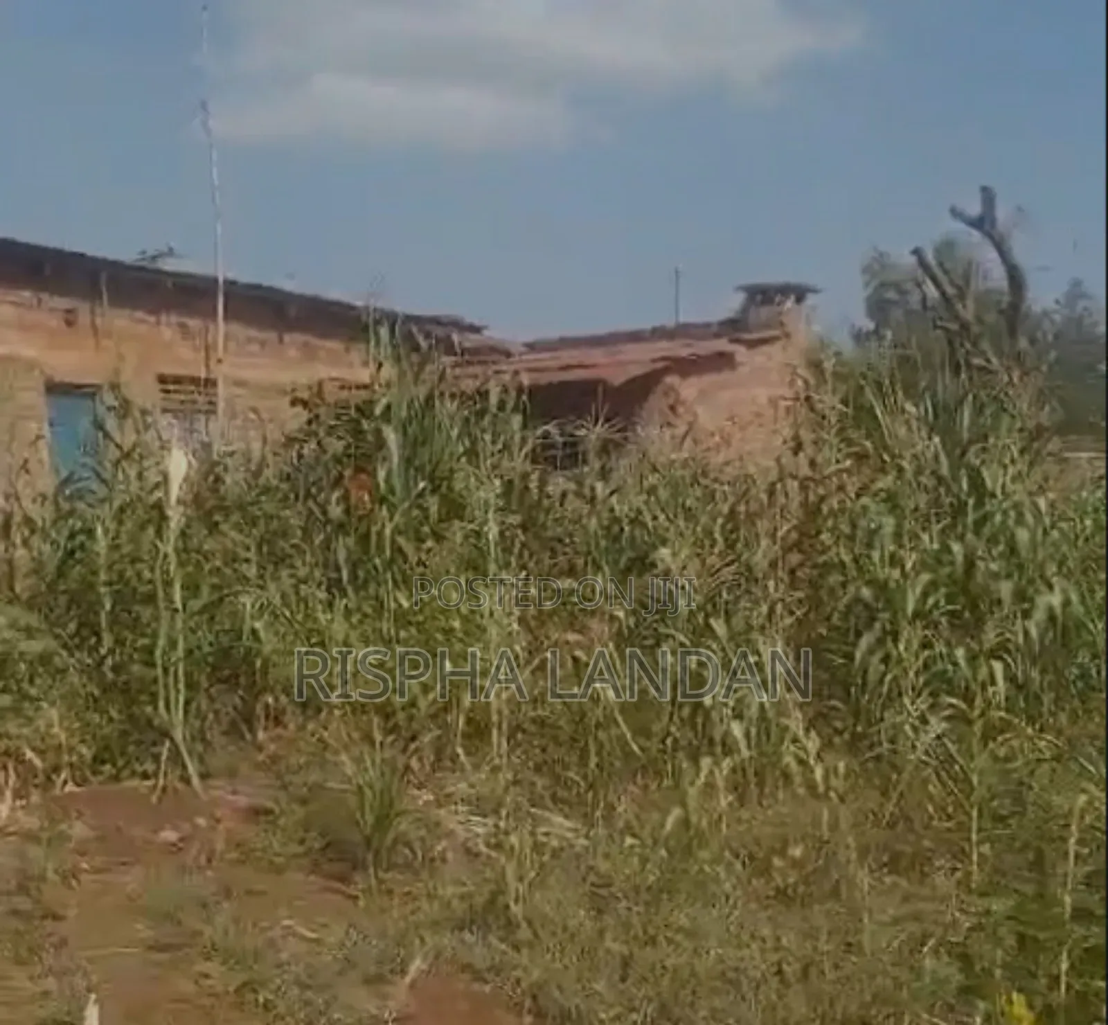 Commercial Land for Sale - In Ndatu
