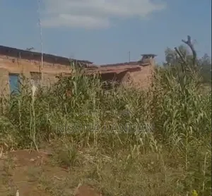 Commercial Land for Sale - In Ndatu